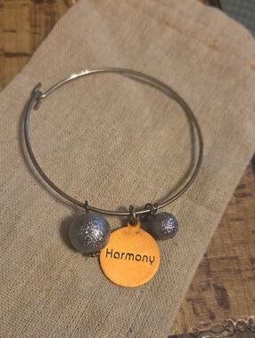 Harmony Charm Silver-Tone Bangle Bracelet